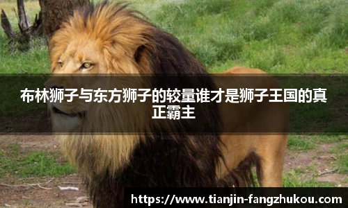 布林狮子与东方狮子的较量谁才是狮子王国的真正霸主